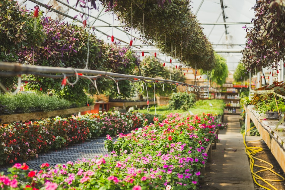 Why Choose Natural State Irrigation?